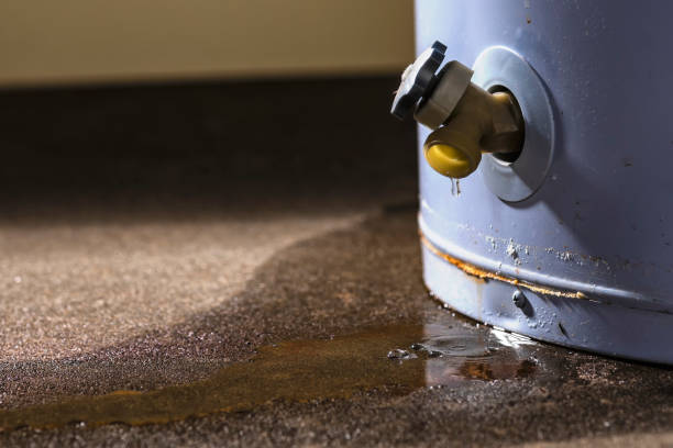 Best Water damage restoration near me  in Albany, MO