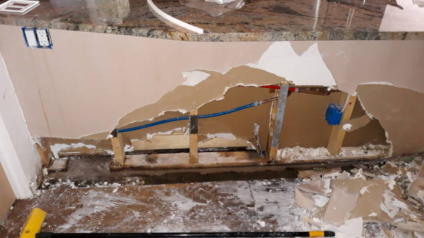 Best Fire Damage Restoration  in Albany, MO