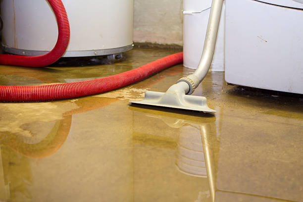 Best Local water damage restoration  in Albany, MO