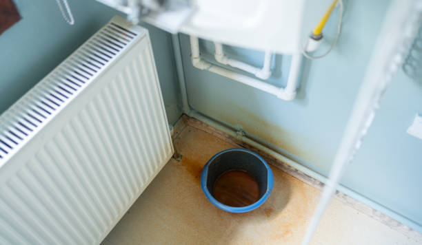 Best Flood damage cleanup  in Albany, MO