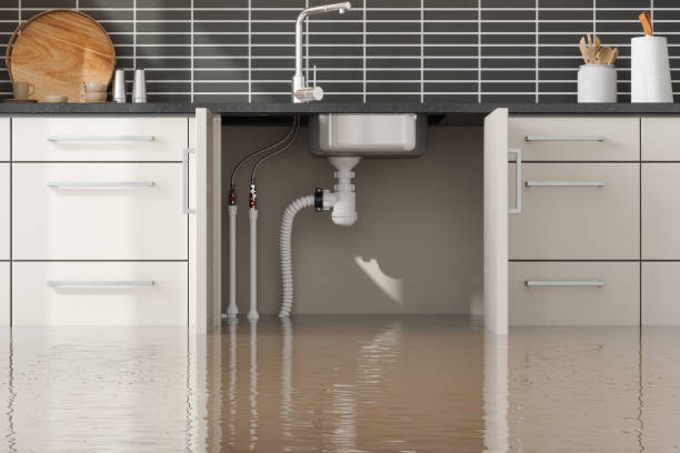 Best Mold removal after water damage  in Albany, MO