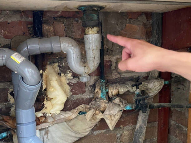 Best Sewage cleanup and water damage restoration  in Albany, MO