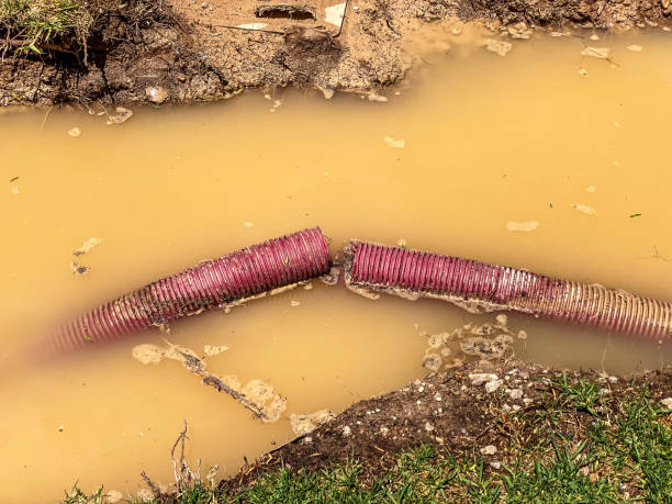 Best Water damage restoration near me  in Albany, MO